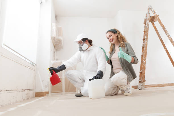 Mold Odor Removal Services in Chaska, MN