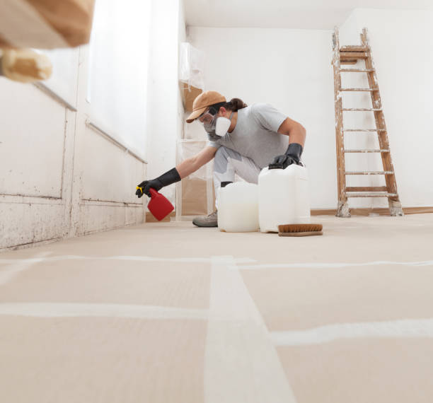 Best Attic Mold Removal  in Chaska, MN